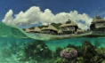 Bora Bora, un endroit rêver..